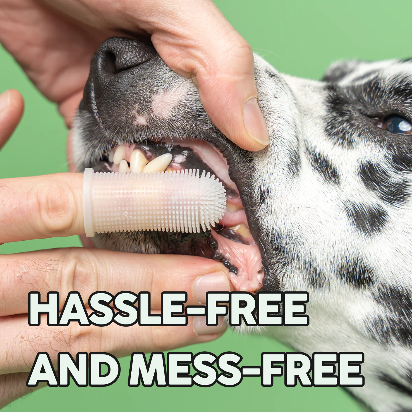 Barkle Dog Teeth Cleaning Gel - Two Month Supply