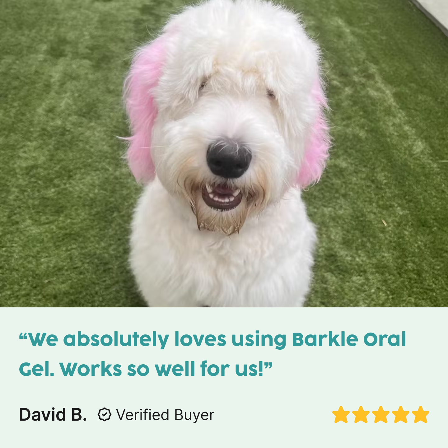 Barkle Dog Teeth Cleaning Gel - Two Month Supply