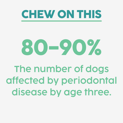 Barkle Dog Teeth Cleaning Gel - Two Month Supply