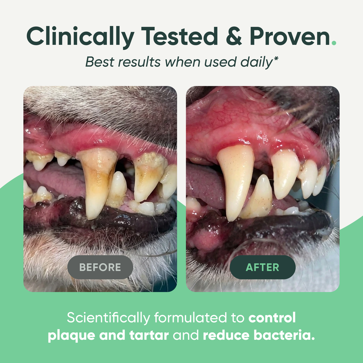 Barkle Dog Teeth Cleaning Gel - Two Month Supply