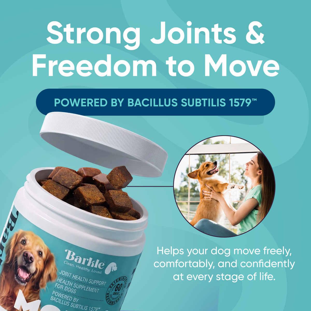 Barkle Supplement - Move