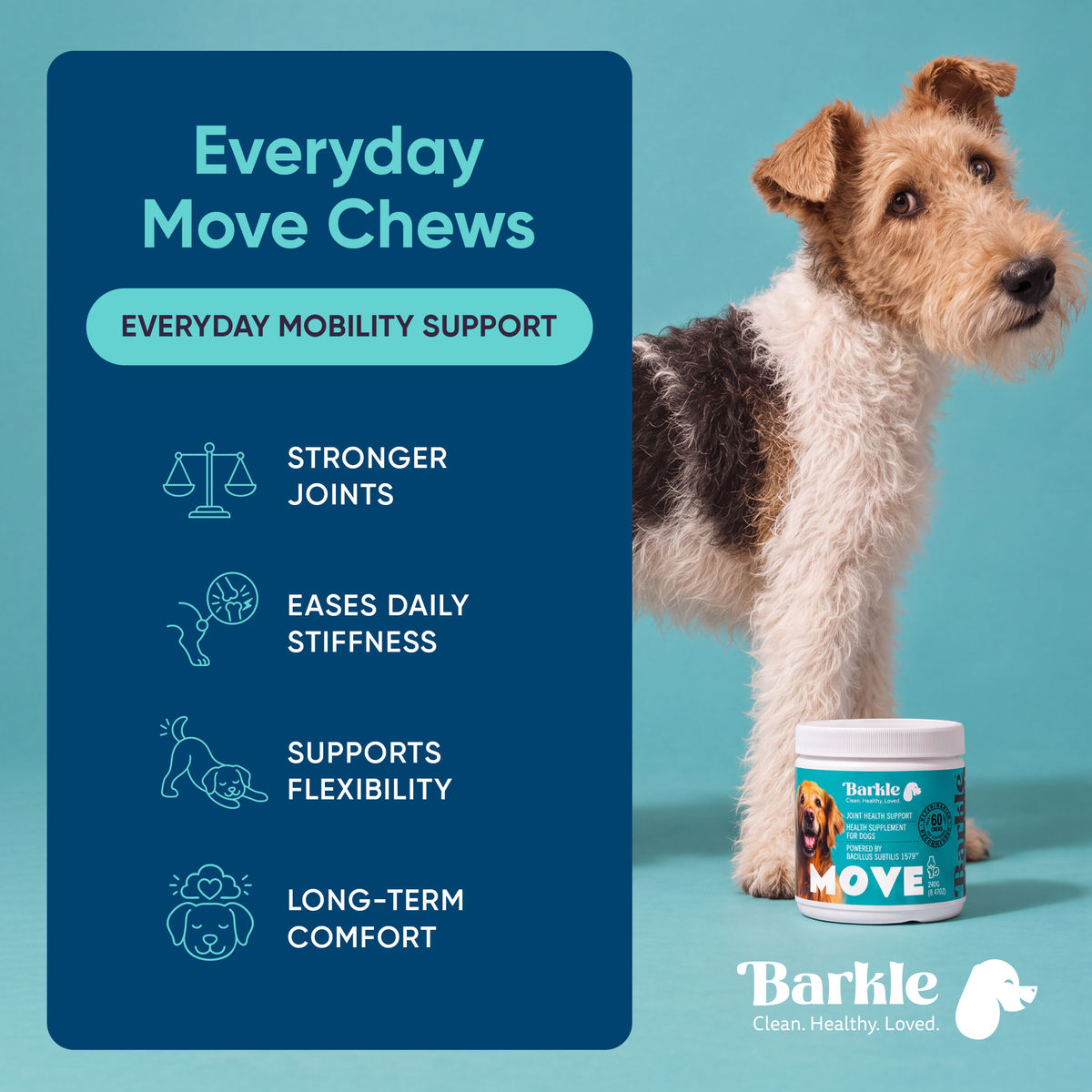 Barkle Supplement - Move