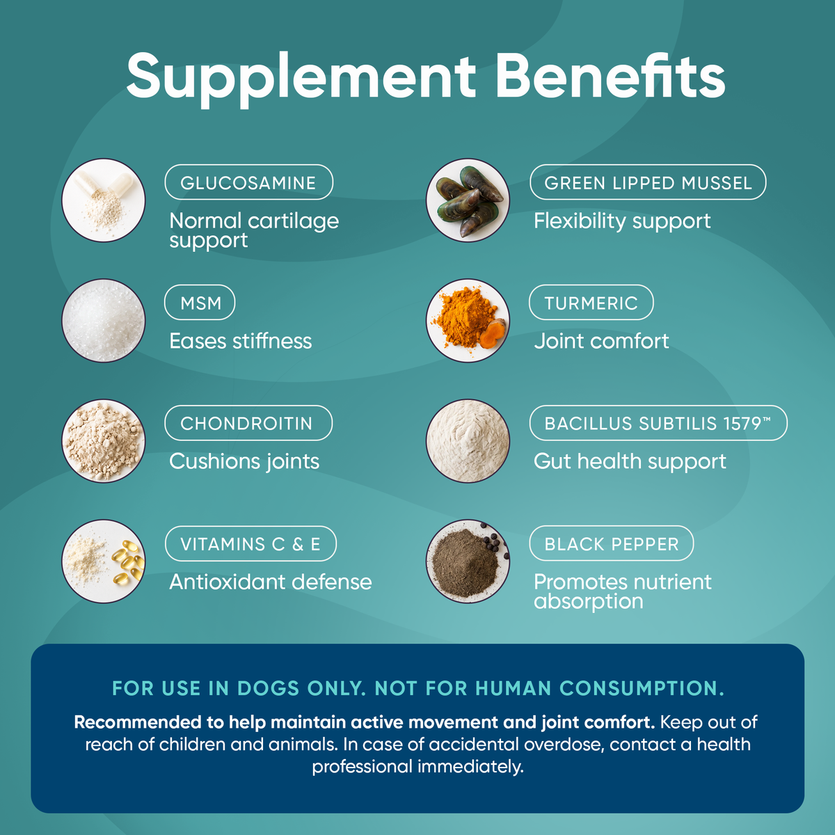 Barkle Supplement - Move