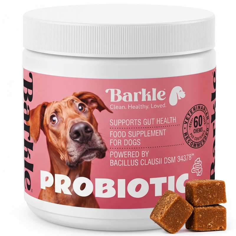 Barkle Supplement - Probiotic