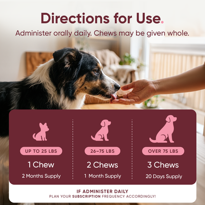 Barkle Supplement - Probiotic