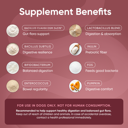 Barkle Supplement - Probiotic