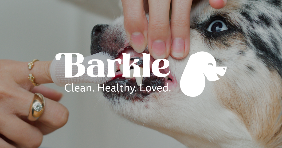 Barkle Barkle | Clinically Proven Dog Teeth Cleaning Gel