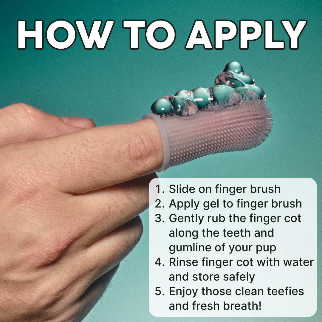 Barkle Dog Teeth Cleaning Gel - Two Month Supply