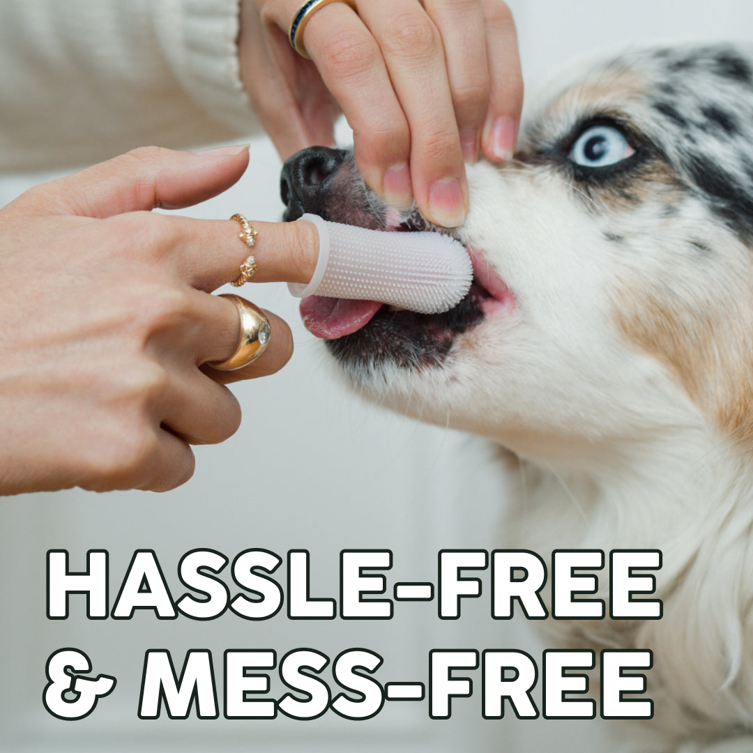 Barkle Barkle Dog Teeth Cleaning Gel - Two Month Supply