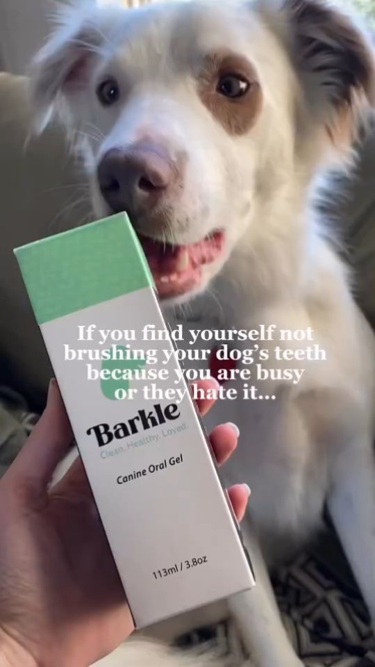 Barkle Barkle