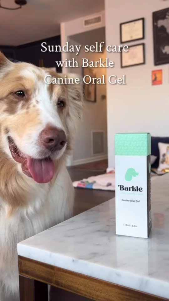 Barkle Barkle